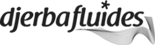 Logo DJERBA FLUIDES